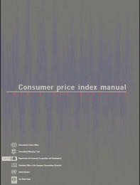 Consumer price index manual  Theory and Practice