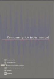 Consumer price index manual  Theory and Practice