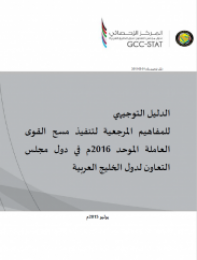 Guidelines for the implementation of the unified workforce survey 2016 in the GCC countries