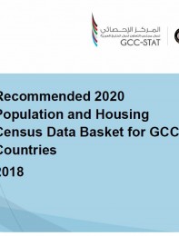 2020 Census Data Basket