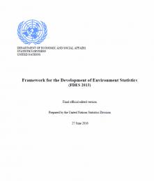 Framework for the Development of Environment Statistics